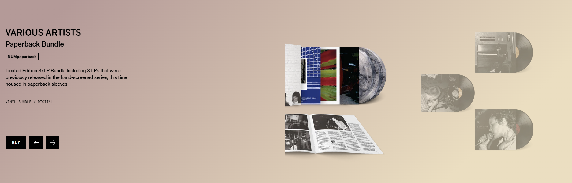 Unearth Your New Favorite Sound